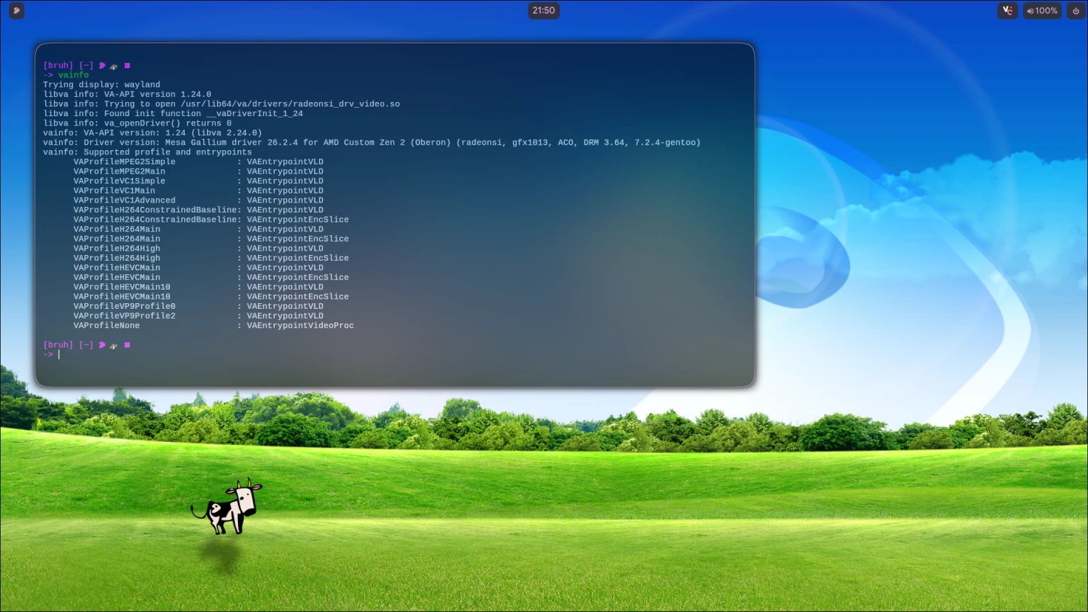 vainfo on a PS5 with VCN, Mesa 26.2.4 on kernel 7.2.4